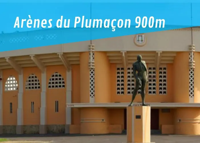 Apartment Okera Mont-de-Marsan